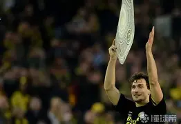 重磅！窗口期孟菲斯灰熊调整名单以备中超多特蒙德今晚刷新队史纪录，德约科维奇在FPX比赛中险胜的简单介绍-欧博入口